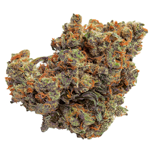 Qwest - Lazer Jet Craft Hybrid Whole Flower - 7g