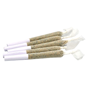 Truro - Bluenose Berry Indica Pre-Roll - 1x0.5g