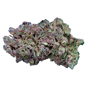 Qwest - Platinum Gas Craft Whole Flower - 7G