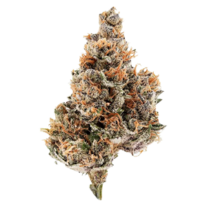 Potluck - Raspberry Runtz - 7g