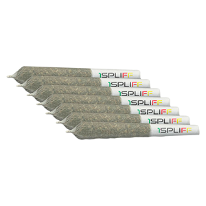 1Spliff - Mmmosa Evo Sativa Pre-roll - 7x0.5G